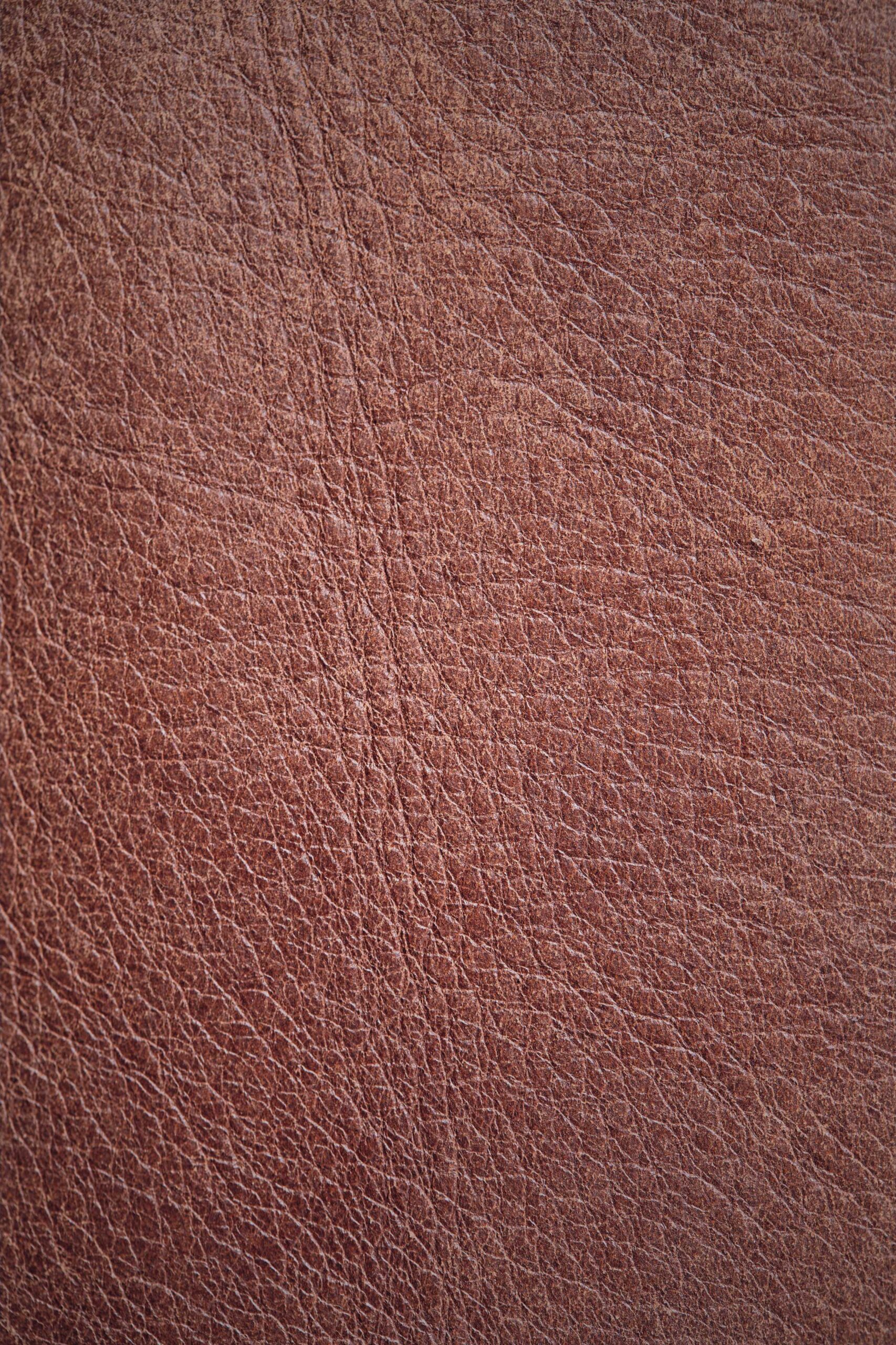 El alma del cuero: por qué cada piel es única