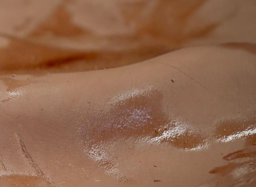 ¿Qué es el curtido al vegetal?