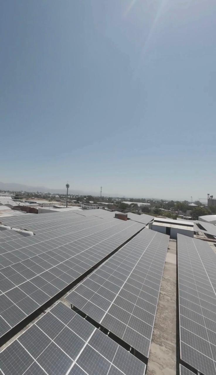 Economía circular en la industria del cuero: retos y oportunidades