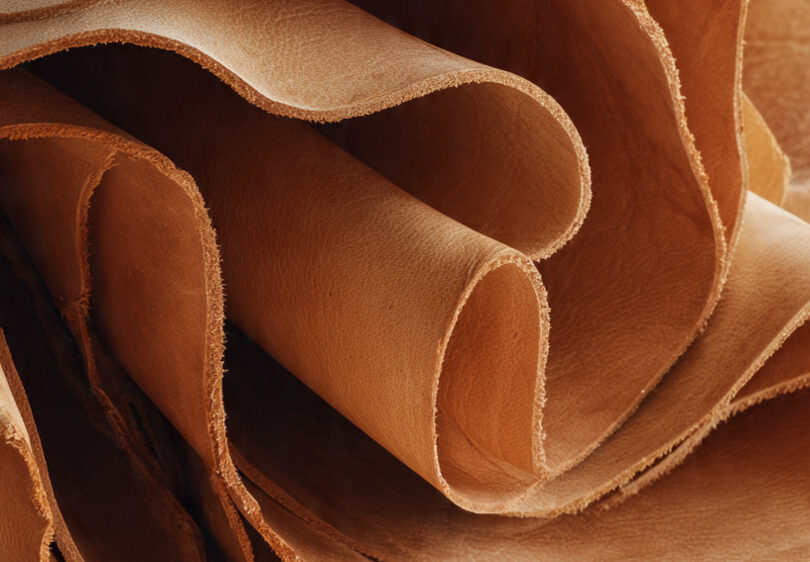 De la naturaleza al producto final: el impacto ambiental positivo del cuero curtido al vegetal