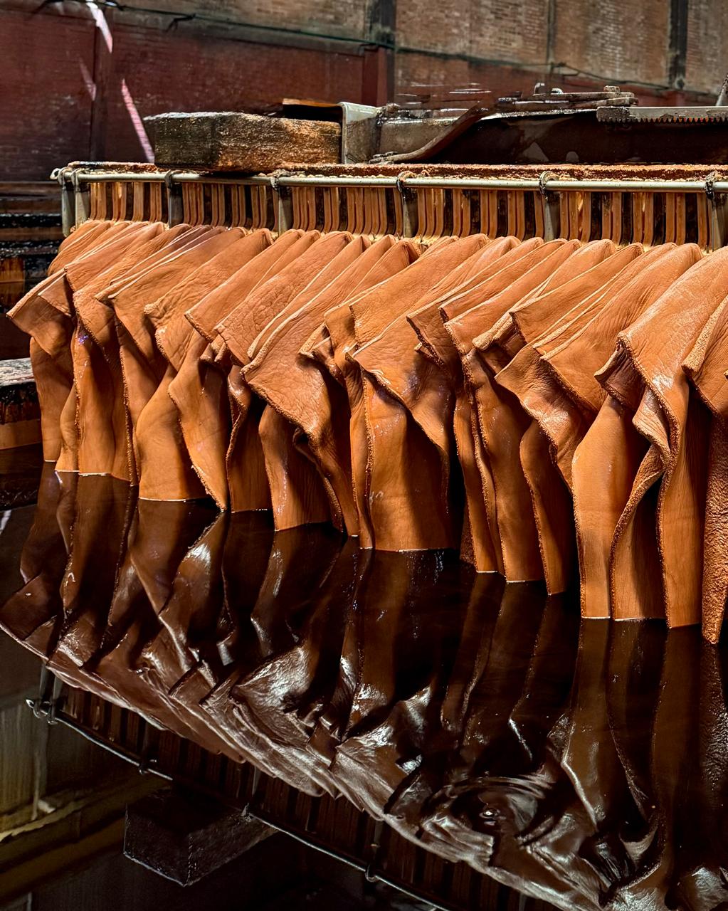 León y el cuero: una historia de industria, talento y tradición